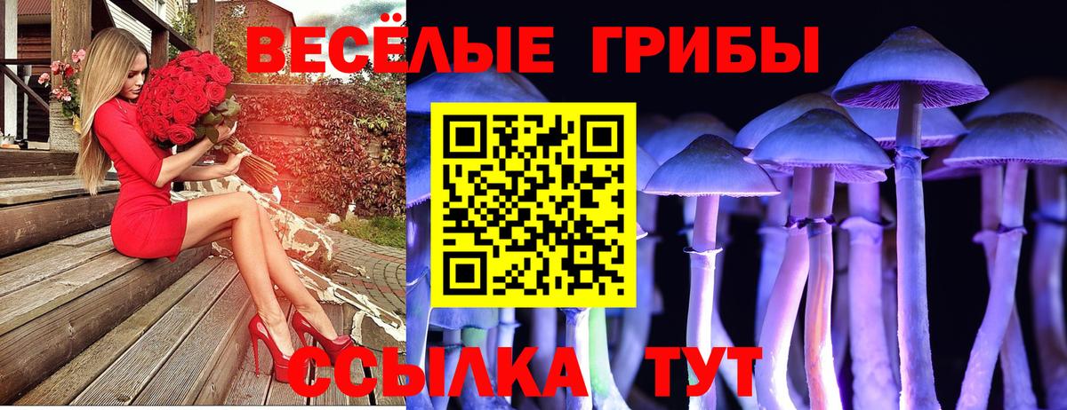 Южноуральск  Псилоцибиновые грибы прущие грибы  Вход с VPN  Галлюциногенные грибы Cubensis 